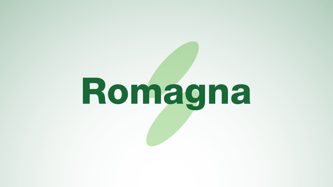 Struttura Organizzativa