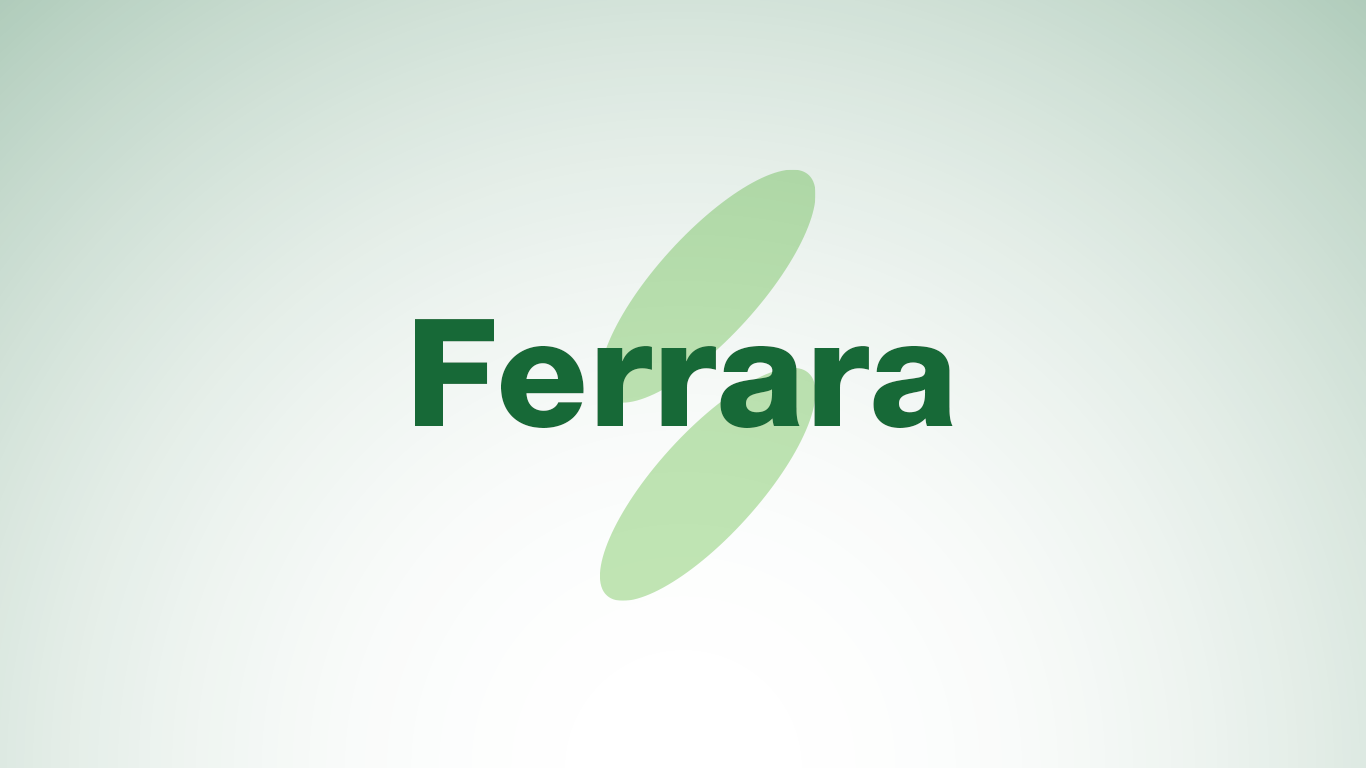 Struttura Organizzativa