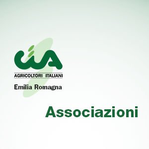 Struttura Organizzativa