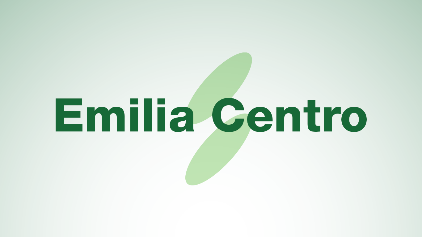 Struttura Organizzativa