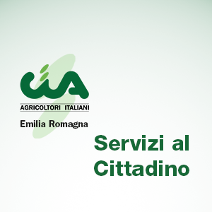 Struttura Organizzativa