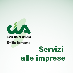 Struttura Organizzativa