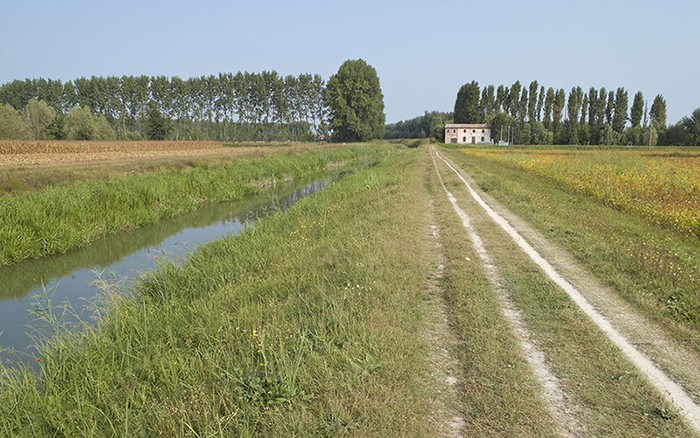 Cia Veneto: lista unitaria mondo agricolo dirimente nei Consorzi di bonifica