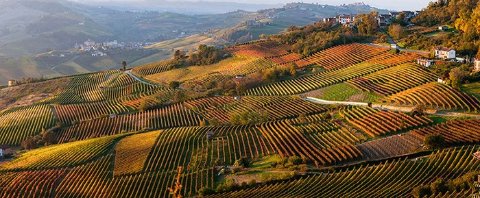 Cia Cuneo: annata agraria 2024 tra luci e ombre