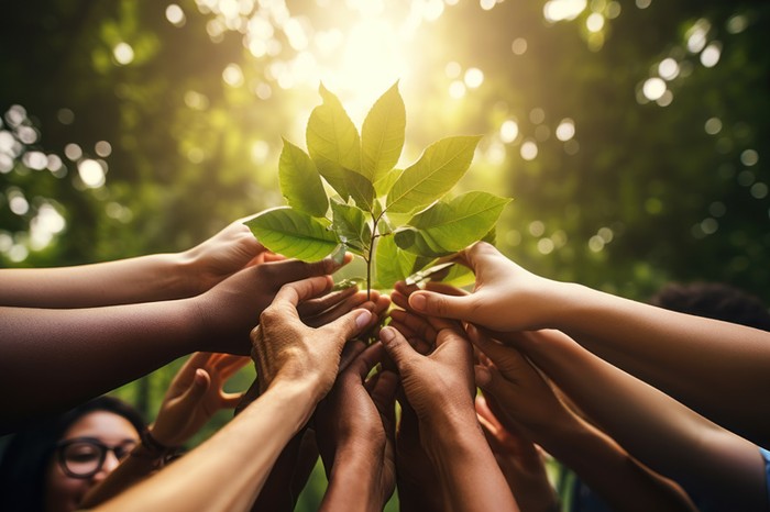 25 novembre: Donne in Campo-Cia, “Piantiamola!” con la violenza sulle donne